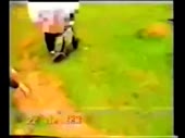 640x480