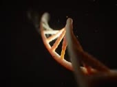 320x240