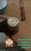 320x522