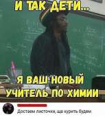 480x531