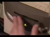 320x240