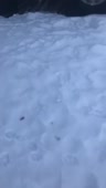408x720