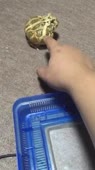 406x720