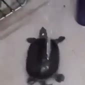 360x360