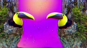 640x360