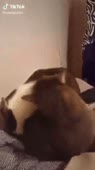 360x640