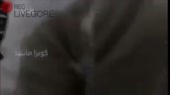 1366x768