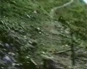 450x360
