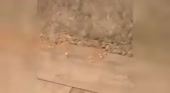 400x220