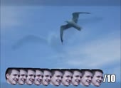 490x360