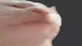 640x360