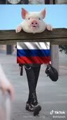 576x1024