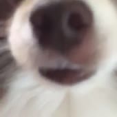 360x360