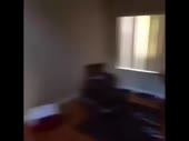 480x360