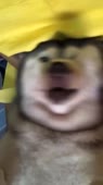 720x1278