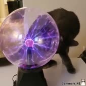720x720