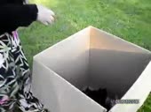 480x360