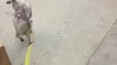 400x224