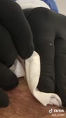 576x1024