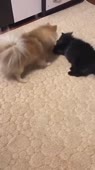 360x640
