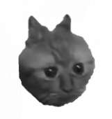 167x176