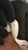 576x1024