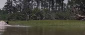 720x304