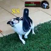 460x463