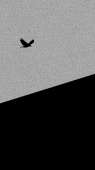 1080x1920