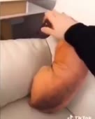 288x360