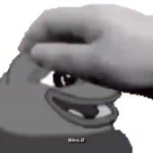 426x426