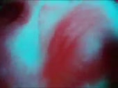 320x240