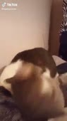 360x640