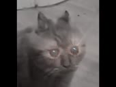 480x360