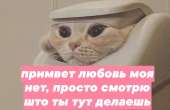 1080x702