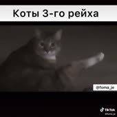 576x576