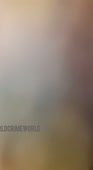 264x480