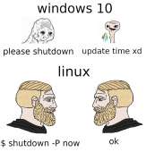 736x767