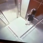 360x360