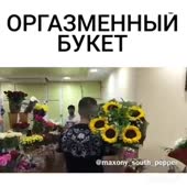 360x360
