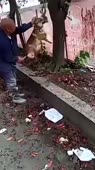360x640