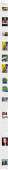 540x10811