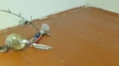 400x224