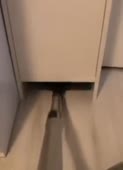 362x500