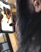 460x574