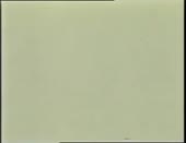 320x248
