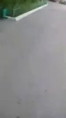 270x480
