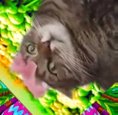 368x360