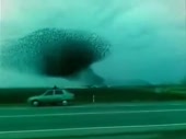320x240