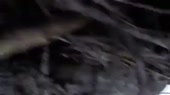 640x360